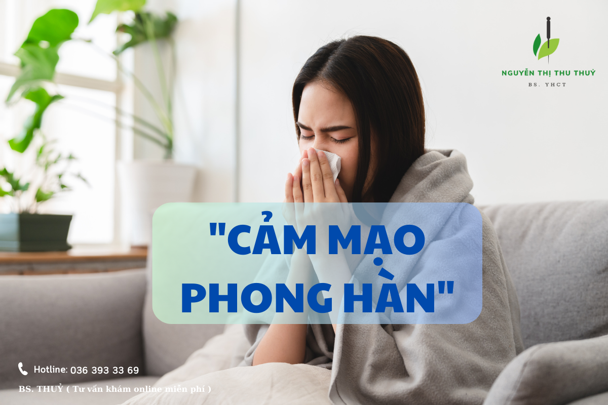 phong ngua cam mao phong han