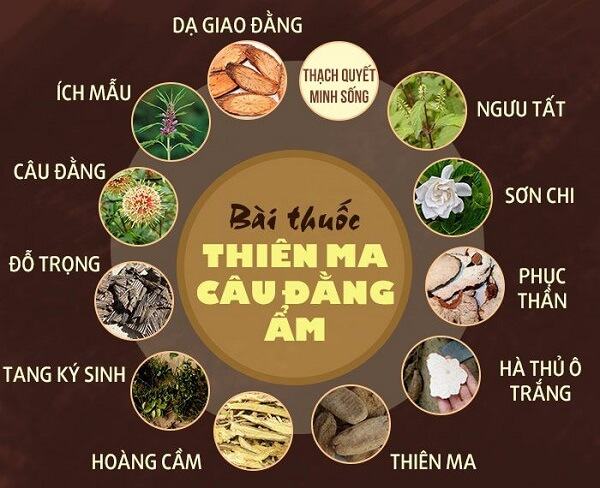 bai thuoc thien ma cau dang am