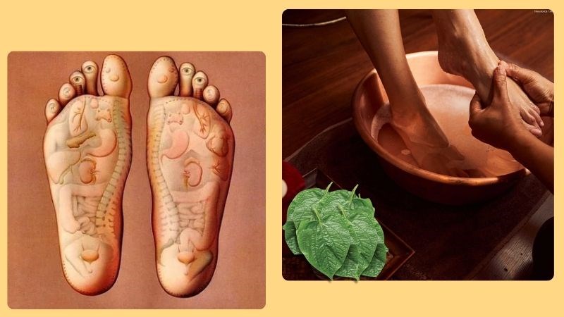 lam-am-tu-cung-tang-ty-le-dau-thai-ivf